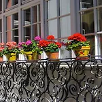 Bio Boutique Barbara Φράιμπουργκ