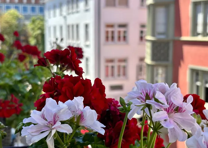 Bio Boutique Barbara